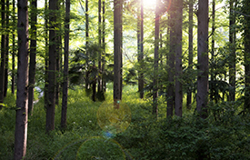 437ccm必赢国际(中国游)官网唯一线路