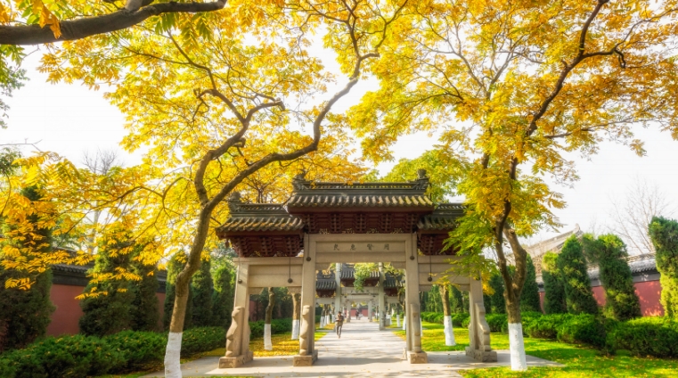 437ccm必赢国际(中国游)官网唯一线路