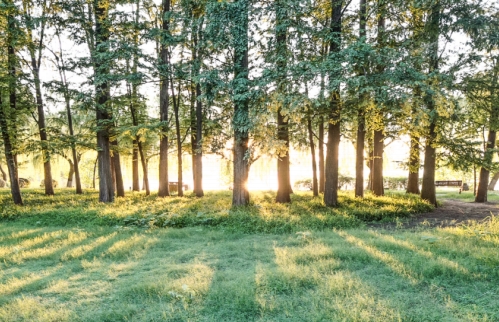 437ccm必赢国际(中国游)官网唯一线路