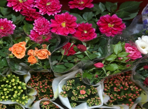 437ccm必赢国际(中国游)官网唯一线路